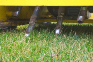 Rasen belüften (aerifizieren) | Löwer-Baumpflege
