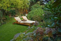 Garten mit Sträuchern