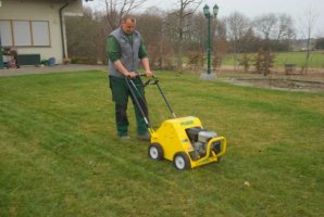 Rasen belüften (aerifizieren) | Löwer-Baumpflege